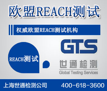 REACH测试 REACH测试