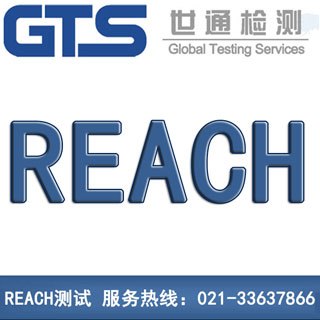 REACH测试 REACH测试