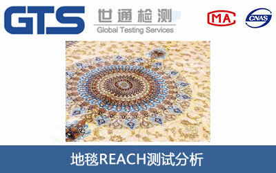 地毯REACH测试